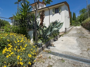 Detalle exterior