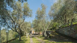 A pathway leading to a rustic house surrounded by trees and a stone wall. - Vacation home Casali by Interhome (Strettoia)