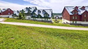 A row of modern, multi-story houses with sloped roofs and a well-maintained lawn in front. - Horní Mísečky by Interhome (Horni Misecky)