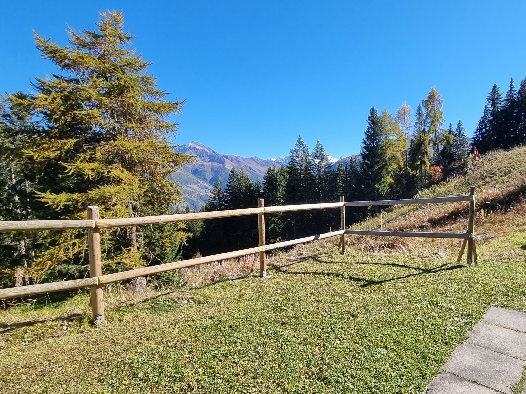 A wooden fence with a grassy area and trees in the background.