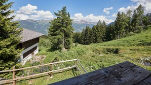 Una baita di legno con tetto spiovente, circondata da vegetazione lussureggiante e con le montagne sullo sfondo.