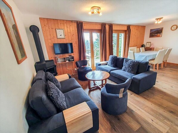 TV, fireplace, DVD player