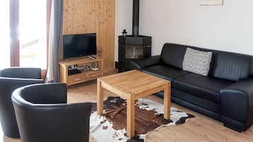 Télévision, cheminée, lecteur de DVD