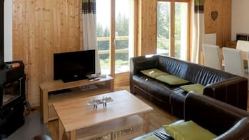 Télévision, cheminée, lecteur de DVD