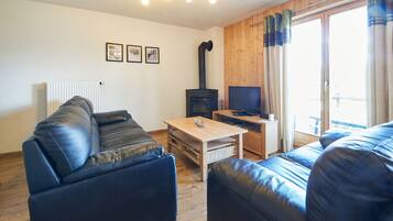 Télévision, cheminée, lecteur de DVD