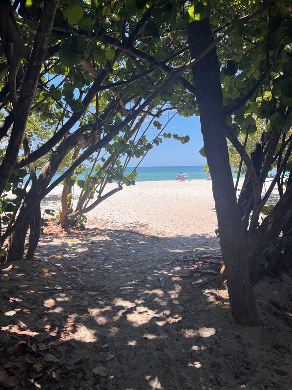 Sun-loungers, beach towels - Beautiful two bedroom apartment in Naples  (Naples)