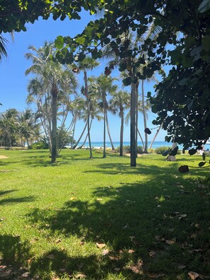 Property grounds - Beautiful two bedroom apartment in Naples  (Naples)