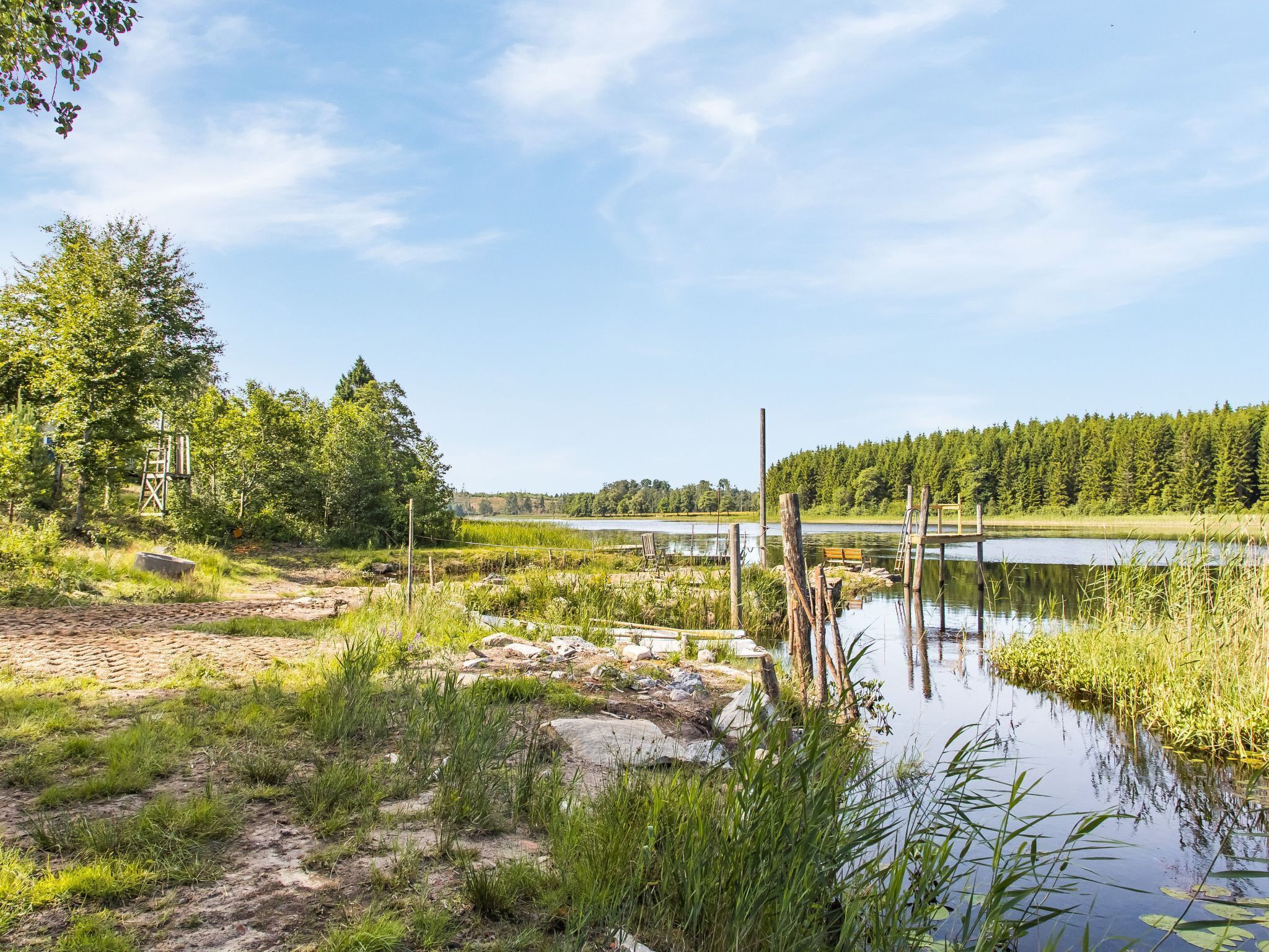 Un paysage naturel comprenant un lac, une forêt et une jetée en bois.