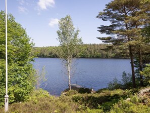 A lake surrounded by dense forest and a clear sky.