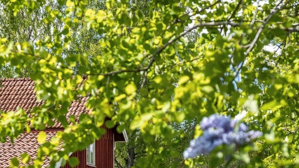 Una casa de madera roja con una bandera, rodeada de hierba verde y árboles.
