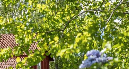 Vassviken by Interhome