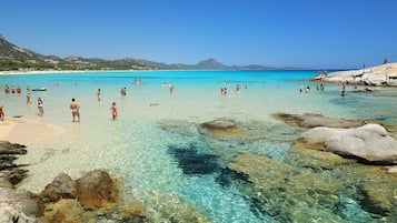 Playa en los alrededores