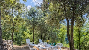 Een terras met witte plastic stoelen en een tafel met een geruit tafelkleed, omringd door bomen.