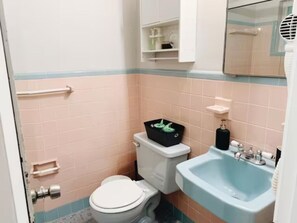 Ducha, secador de pelo, toallas