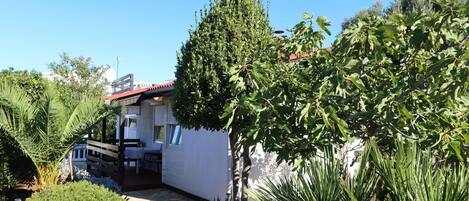 Terras