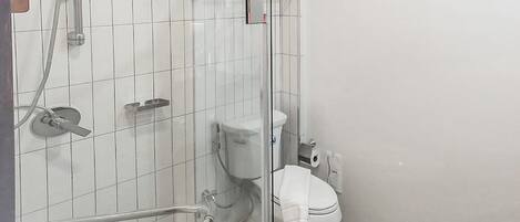 Un baño con cabina de ducha de vidrio, inodoro y barandilla.