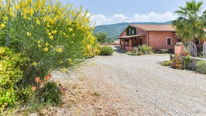 A house with a gravel driveway, surrounded by yellow flowering plants and a palm tree.