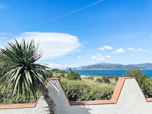 Une vue côtière avec une chaîne de montagnes, un ciel dégagé et une plante au premier plan.
