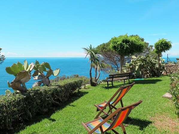A grassy outdoor area with a bench, a cactus sculpture, and a view of the sea.