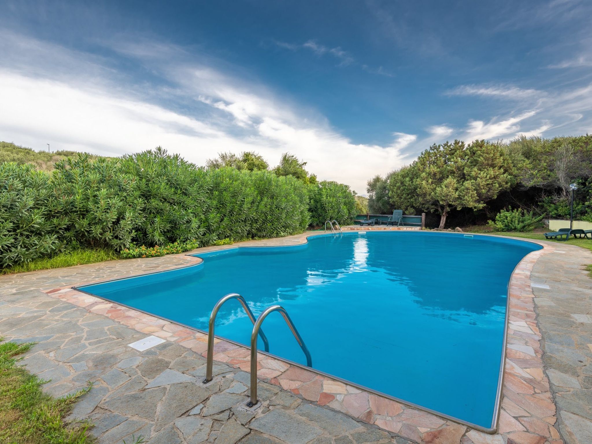 Ein rechteckiger Pool mit Steinrand, umgeben von üppigem Grün und Bäumen.