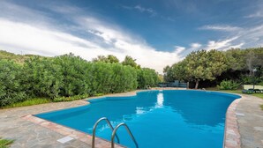 Ein rechteckiger Pool mit Steinrand, umgeben von üppigem Grün und Bäumen.