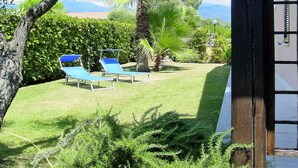 Un jardin avec deux fauteuils bleus, un palmier et une haie.