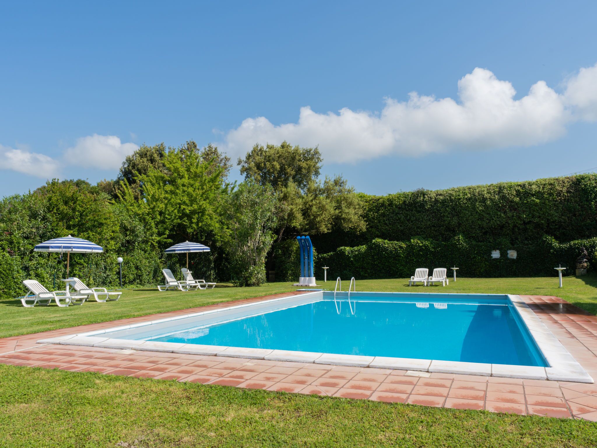A rectangular swimming pool with a tiled deck, surrounded by grass and trees.