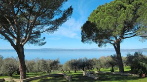 Un parc avec des arbres et un lac.