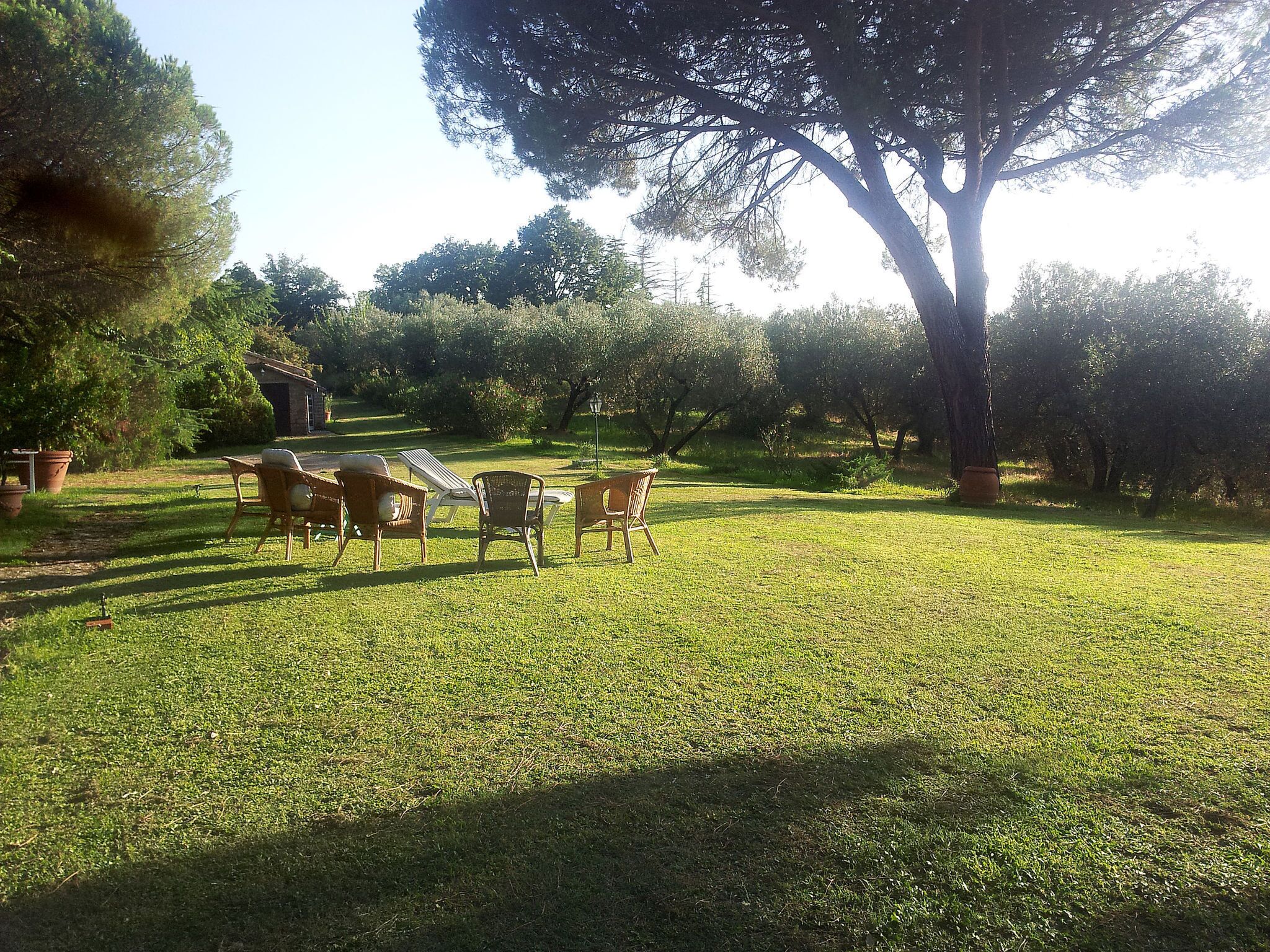 A grassy outdoor area with a table and chairs, surrounded by trees and a building in the background.