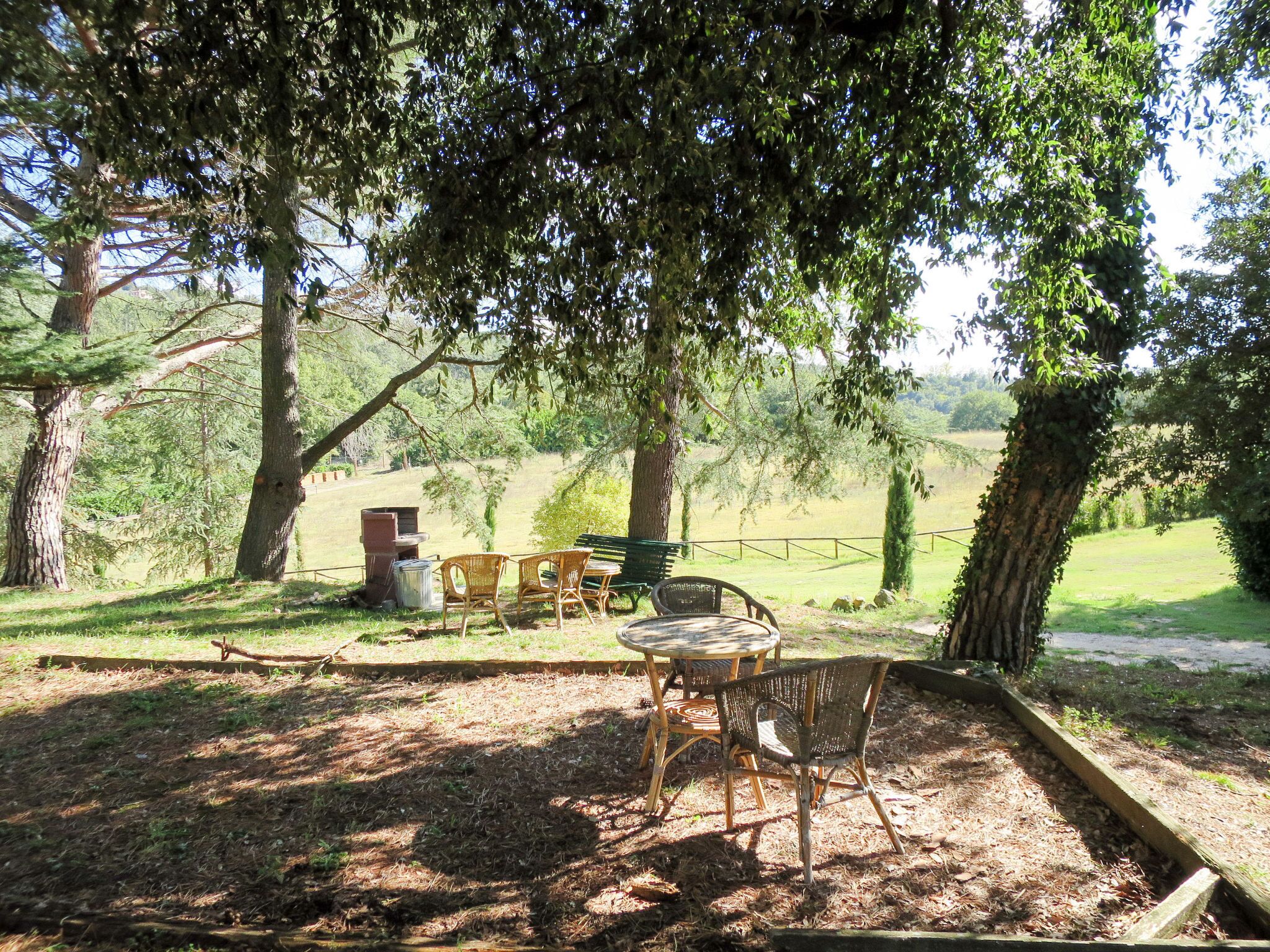 An outdoor seating area with wicker chairs and a table, surrounded by trees and a grassy field.