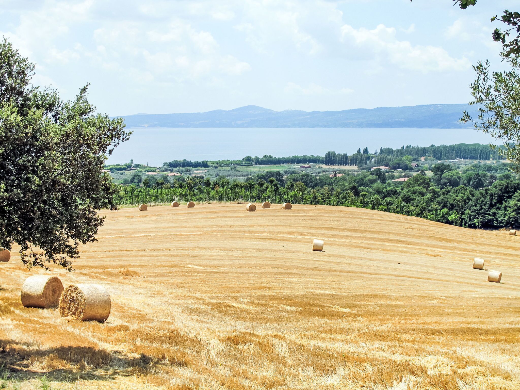 A rural landscape with a field of hay bales and a distant body of water.
