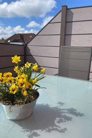 Property grounds - Friesenperle by Interhome (Norden)