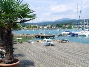 A marina with boats docked, a wooden deck, and a palm tree.