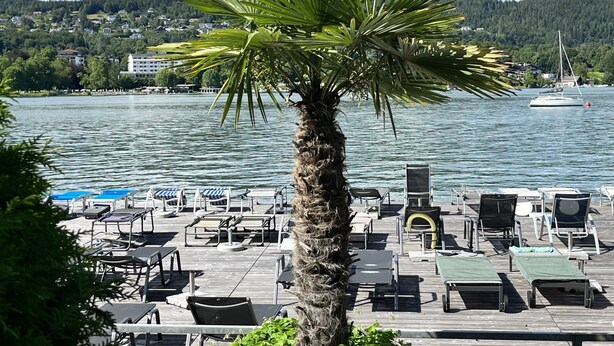 Une terrasse au bord de l’eau, dotée de chaises longues et d’un palmier, d’où l’on peut admirer un lac avec des bateaux et des bâtiments en arrière-plan.