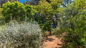 Property grounds - I Lecci by Interhome (Castiglioncello)