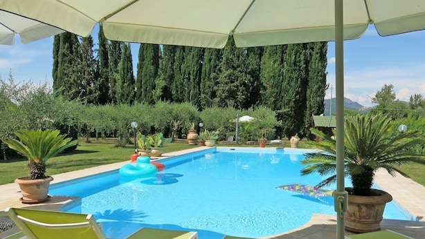 A swimming pool with lounge chairs and umbrellas, surrounded by potted plants and trees.