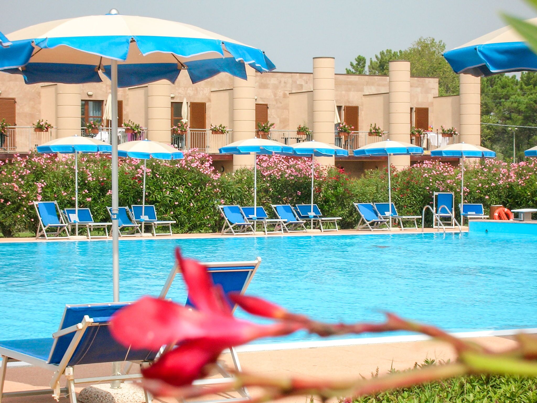 Un espace piscine avec des chaises longues bleues et des parasols, entouré de fleurs roses et d’un bâtiment orné de colonnes.