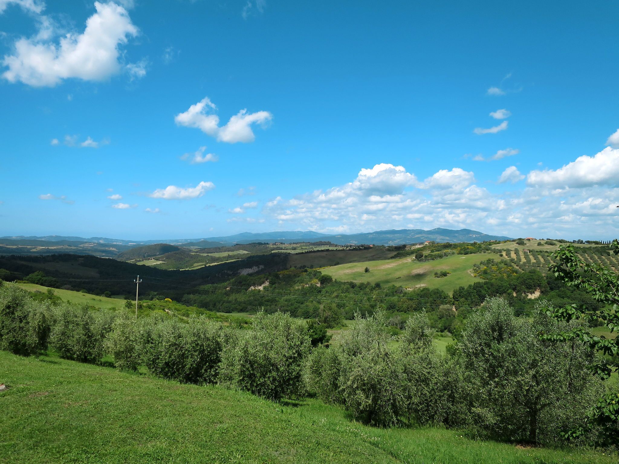 A panoramic view of a lush green landscape with rolling hills and a clear blue sky.