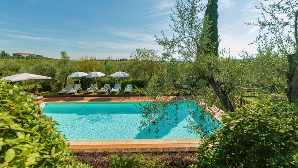 Une piscine entourée de verdure et d’un grand arbre, avec des chaises longues et des parasols.