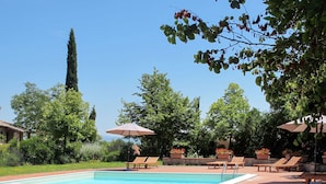 Una piscina con sillas de descanso y sombrillas, rodeada de árboles y un camino de ladrillos.