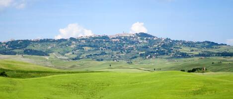 A panoramic view of a green landscape with rolling hills and a distant hilltop settlement.