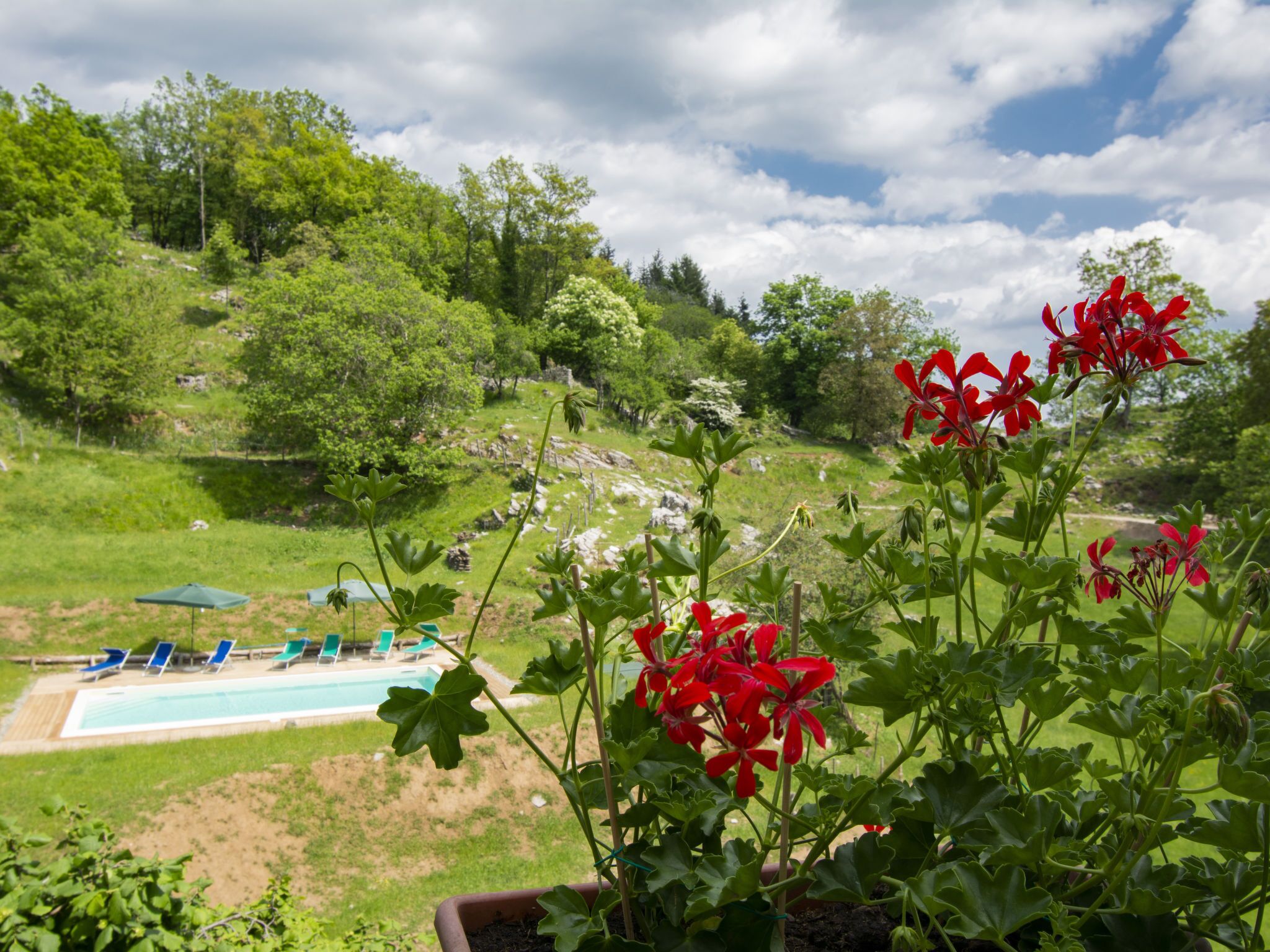 Un espace piscine doté de chaises longues et offrant une vue sur un paysage verdoyant.