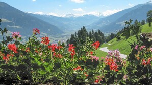A mountainous landscape with a valley, a winding road, and blooming flowers in the foreground. - Apart Vorwies by Interhome (Fügen)