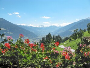 Property grounds - Apart Vorwies by Interhome (Fügen)