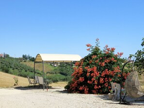 Terraço/pátio