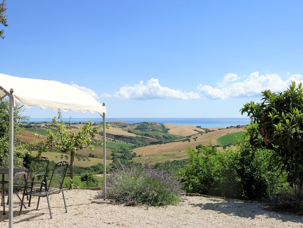 View
