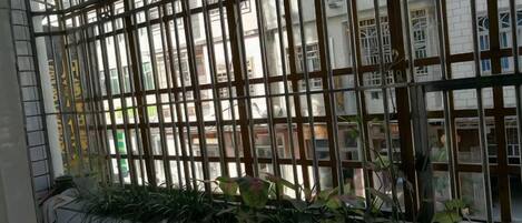 Una ventana con rejas y plantas.