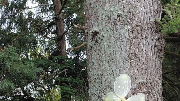 A tree with a sign reading 'ENCHANTED FOREST' and a butterfly sticker.