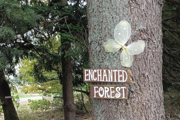 Start of Enchanted Forest.