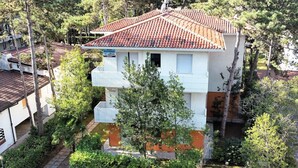 A villa with a tiled roof, white exterior walls, and a small garden with a tree and shrubs. - Villa Rosanna by Interhome (Lignano Pineta)